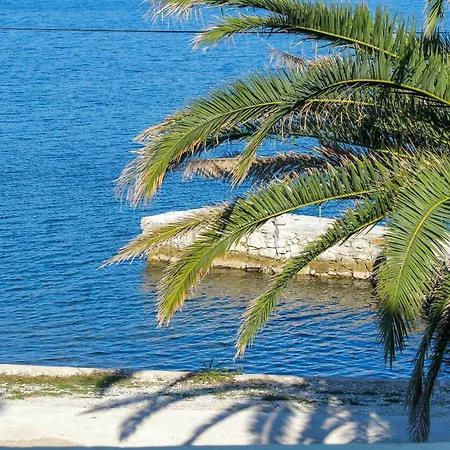 Apartment Kolic Veli Rat
